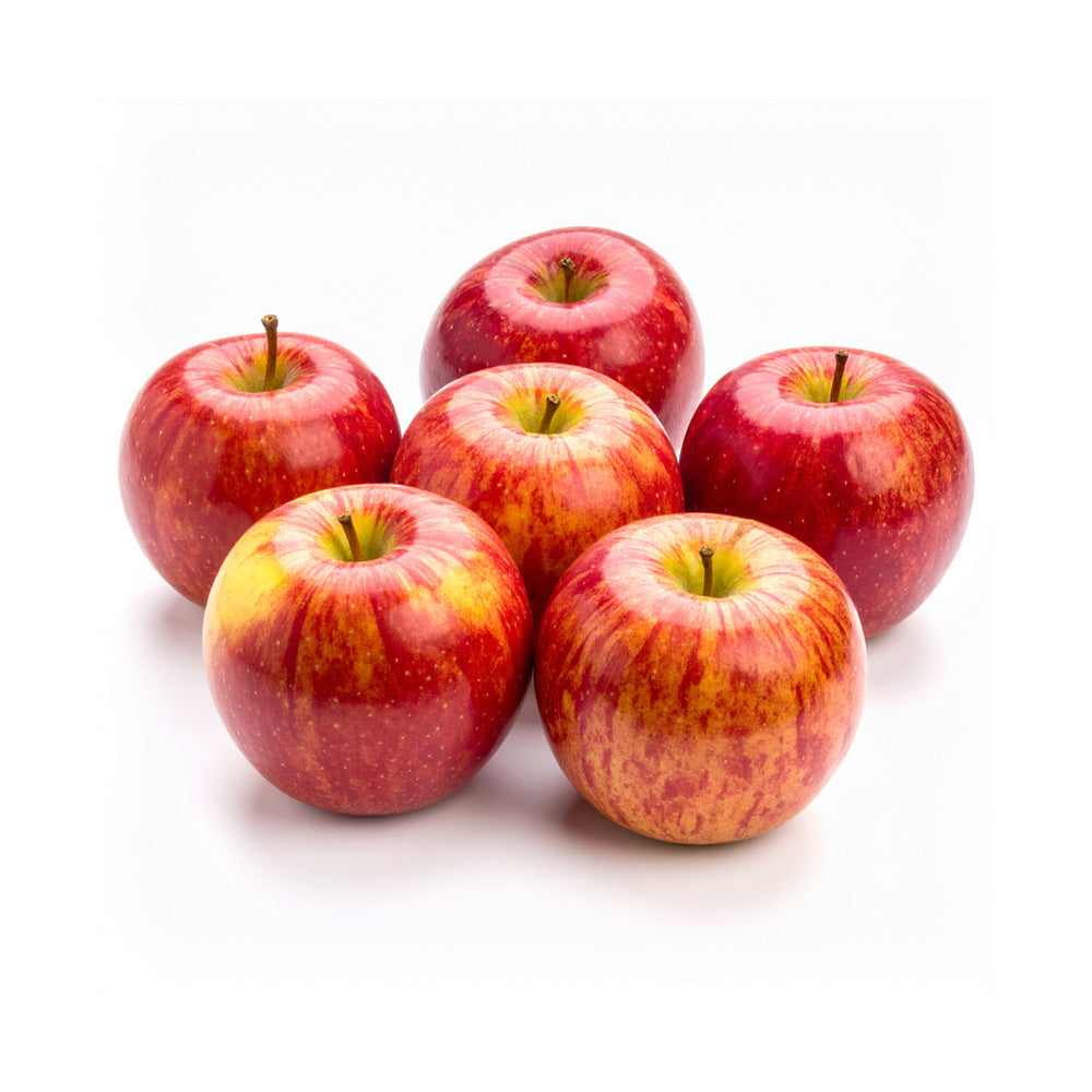 GEE WHIZ PREMIUM SUPER LARGE HUNNYZ APPLE 6 PIECES [U.S DELIVERY]