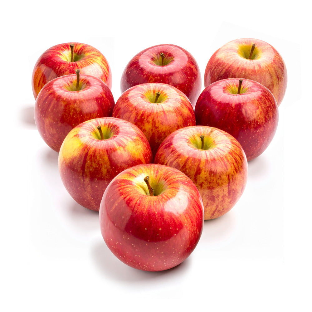 GEE WHIZ PREMIUM SUPER LARGE HUNNYZ APPLE 9 PIECES [PICKUP ONLY]