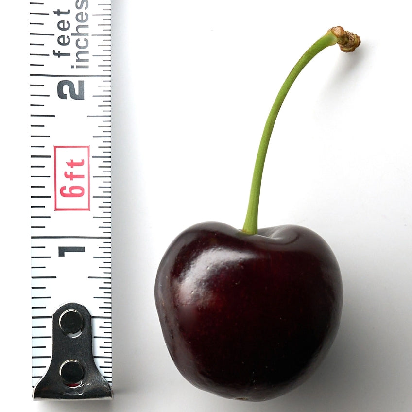 "GEE WHIZ" PREMIUM DARK CHERRIES