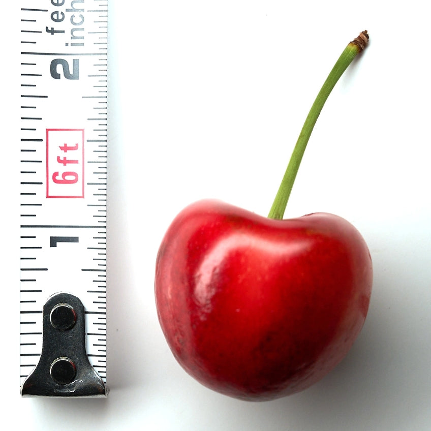 "GEE WHIZ" PREMIUM RAINIER CHERRIES